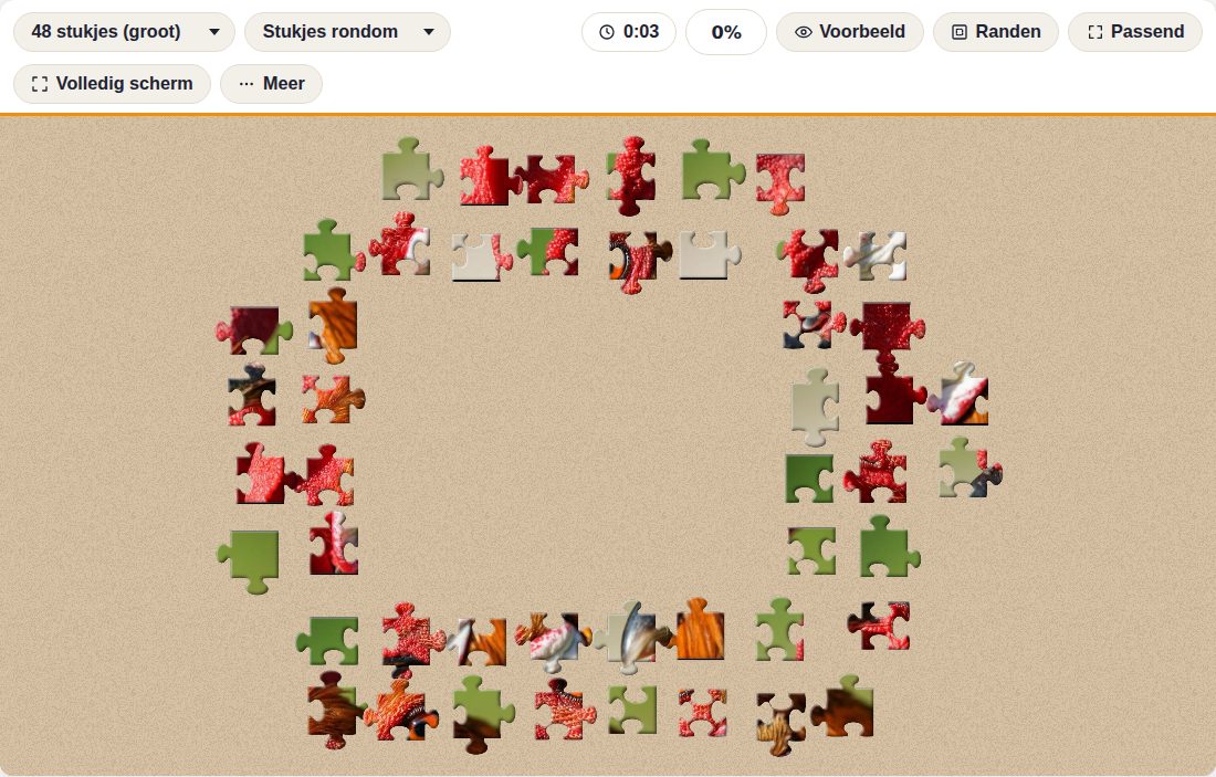 Stukjes rondom de puzzel