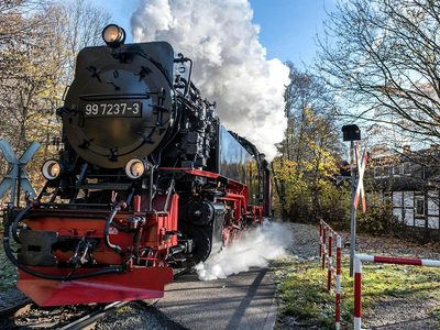 Fahrt mit der Dampflokomotive Puzzle