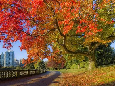 Herbst im Stanley Park Puzzle Puzzle
