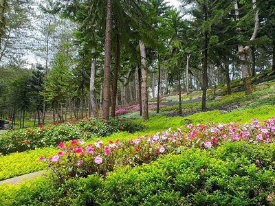 Irgendwo in Davao, Philippinen, Ruhmberg Puzzle