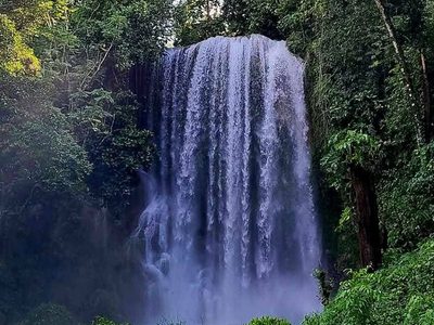 Kawasan fällt in Balilihan Bohol Puzzle