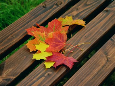 Parkbank im Herbst Puzzle Puzzle