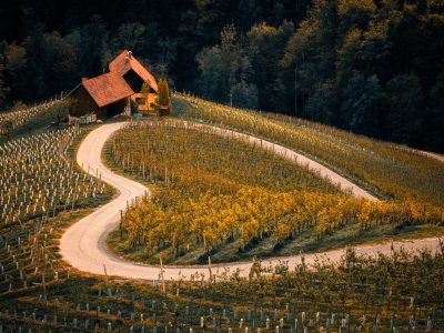 Weinberg im Herbst Puzzle, Vorschau