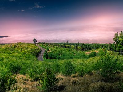 Puzzle de Puzzle de Camino con vistas al Teide