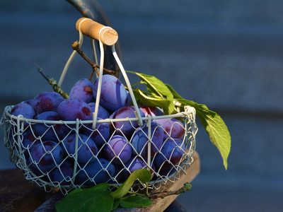 Puzzle de Puzzle de Cesta de ciruelas frescas