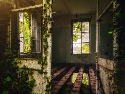 Puzzle de Foto de casa abandonada a la izquierda, vista previa