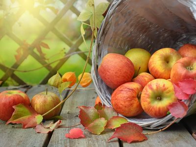 Puzzle de Manzanas de otoño con hojas, vista previa