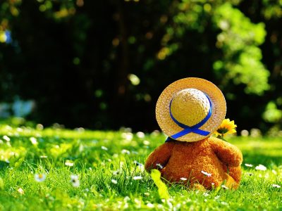 Puzzle de Ositos de peluche de picnic, vista previa