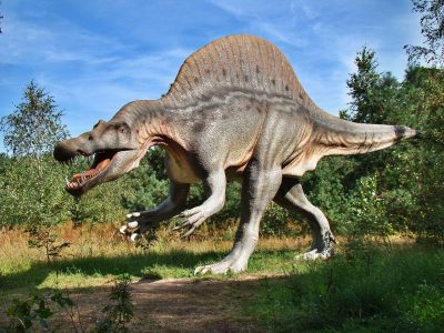 Puzzle de Parque de dinosaurios, vista previa