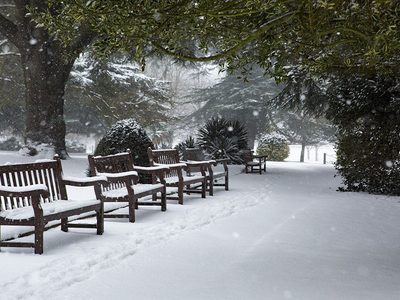 Puzzle de Parque en pleno invierno, vista previa