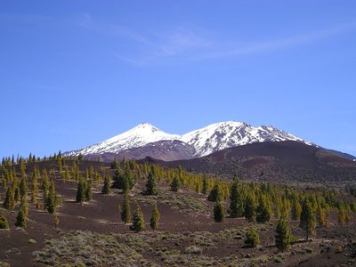 Puzzle de Puzzle de Soledad frente al volcán Teide