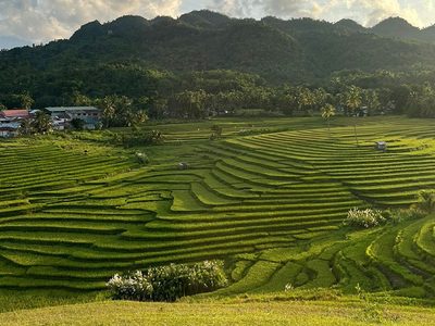 Puzzle de Terrazas de arroz de Cadapdapan en Bohol, Filipinas