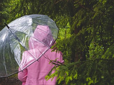 Puzzle Parapluie transparent sous la pluie, aperçu