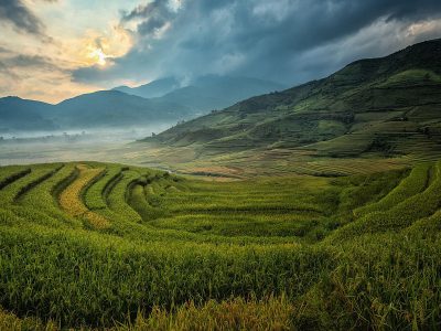 Jigsaw puzzle Jigsaw puzzle Agriculture Expansive Terraced Rice Fields
