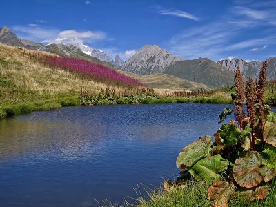 Jigsaw puzzle Alpine Lake Mountain Wild Plants, preview