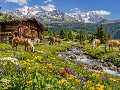 Jigsaw puzzle Jigsaw puzzle Alpine Meadow with Horses and Chalet
