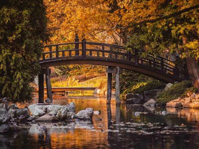 Jigsaw puzzle Jigsaw puzzle Arch Bridge Lake and Nature