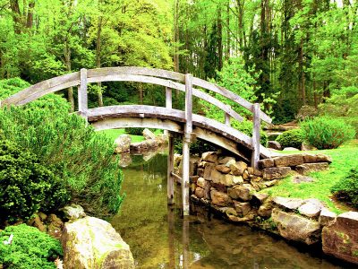 Jigsaw puzzle Jigsaw puzzle Asian Stream Island Garden