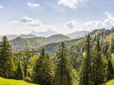 Jigsaw puzzle Beautiful Alpine Nature Landscape