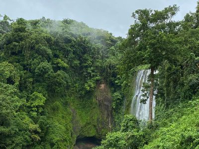 Jigsaw puzzle Jigsaw puzzle Beautiful Green Nature with Waterfall