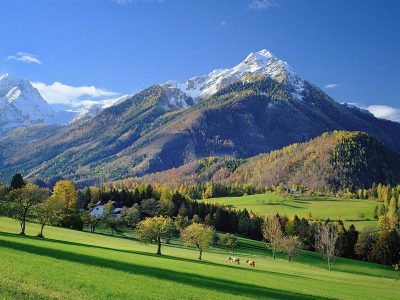 Jigsaw puzzle Jigsaw puzzle Beautiful Landscape Meadow Alpine