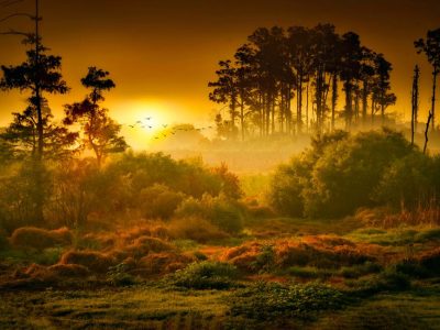 Jigsaw puzzle Jigsaw puzzle Beautiful Nature Landscape