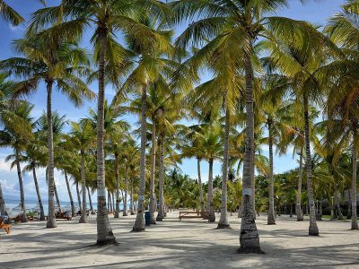 Jigsaw puzzle Jigsaw puzzle Bohol Nature Resort