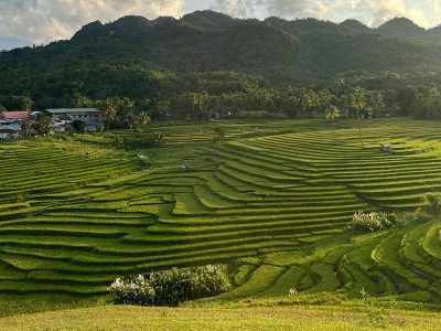 Jigsaw puzzle Jigsaw puzzle Cadapdapan Rice Terraces Bohol Philippines