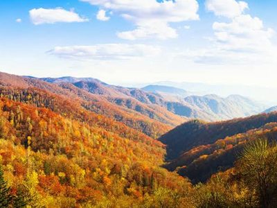 Jigsaw puzzle Jigsaw puzzle Colorful Mountain Autumn