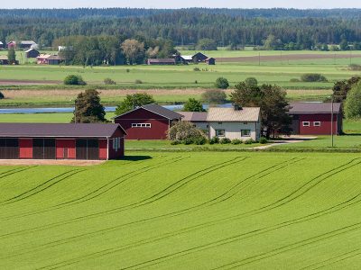 Jigsaw puzzle Jigsaw puzzle Countryside Greeny Farms