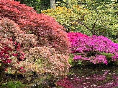 Jigsaw puzzle Jigsaw puzzle Dark Pond with Japanese Maple Reflection