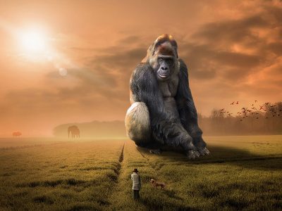 Jigsaw puzzle Jigsaw puzzle Fantasy Picture of Big Gorilla