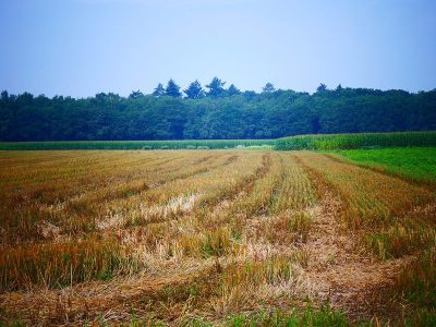 Jigsaw puzzle Jigsaw puzzle Field Agriculture Farm Land