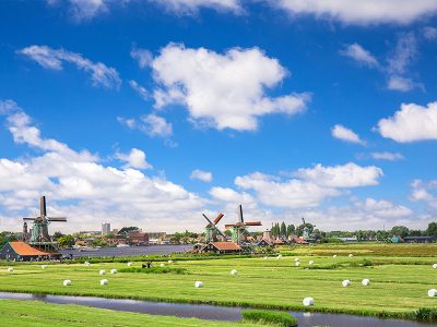 Jigsaw puzzle Jigsaw puzzle Green Grass Field Netherlands