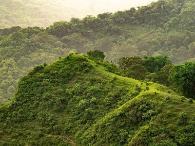 Jigsaw puzzle Jigsaw puzzle Green Rural Nature