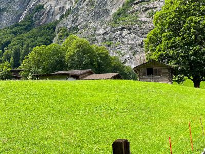 Jigsaw puzzle Jigsaw puzzle Greeny Ground Landscape