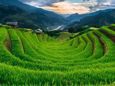 Jigsaw puzzle Jigsaw puzzle Half Circle Like Rice Terraces Paddies