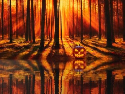 Jigsaw puzzle Jigsaw puzzle Halloween Lake Forest