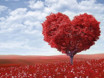Jigsaw puzzle Jigsaw puzzle Heart Shape Red Tree