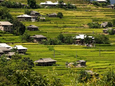 Jigsaw puzzle Jigsaw puzzle Houses and Rice Terraces Field