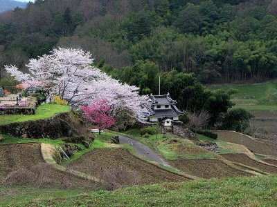 Jigsaw puzzle Jigsaw puzzle Japan Landscape Countryside