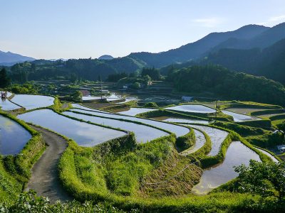 Jigsaw puzzle Japan Rice Terraces