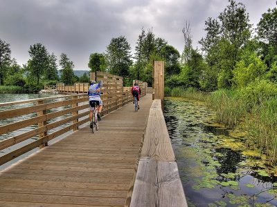 Jigsaw puzzle Jigsaw puzzle Lake Bridge Cycle Track Path