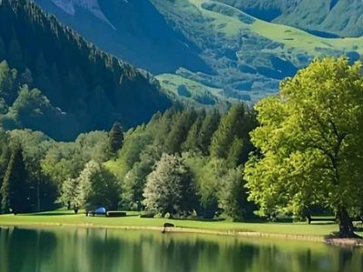Jigsaw puzzle Jigsaw puzzle Lake Next to Nature