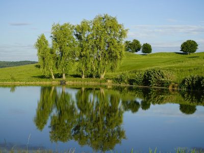 Jigsaw puzzle Jigsaw puzzle Landscape Lake