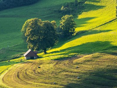 Jigsaw puzzle Landscape of a Large Field