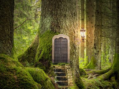 Jigsaw puzzle Jigsaw puzzle Magic Fantasy World