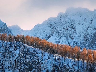 Jigsaw puzzle Jigsaw puzzle Mountain Landscape Become White