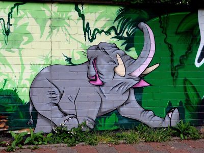 Jigsaw puzzle Jigsaw puzzle Mural Shows a Gray Elephant in Green Jungle Like Setting