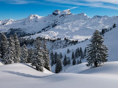 Jigsaw puzzle Nature Landscape Winter Hochybrig Pre Alps